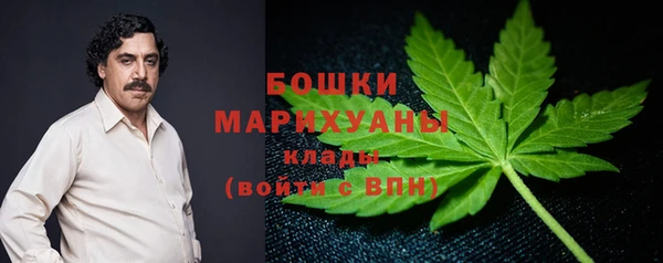 ПСИЛОЦИБИНОВЫЕ ГРИБЫ Верхний Тагил