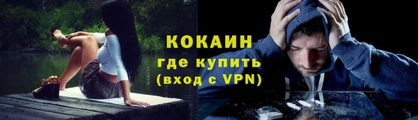 мескалин Вяземский