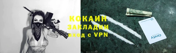 ПСИЛОЦИБИНОВЫЕ ГРИБЫ Верхний Тагил