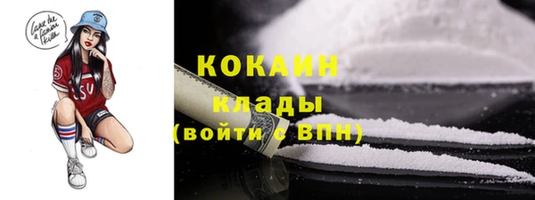 прущие грибы Сосновоборск