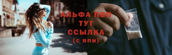 spice Вязники